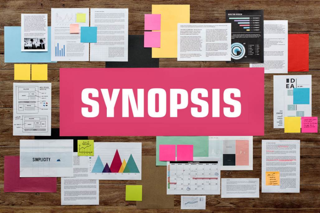 Synopsis Writing Services
