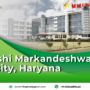 Maharishi Markandeshwar University 90x90