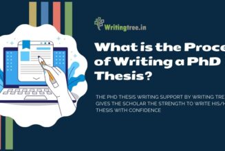 What is the Process of Writing a PhD Thesis?