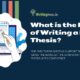 What is the Process of Writing a PhD Thesis?