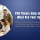 PhD Thesis Help in the UK - What Are Your Options