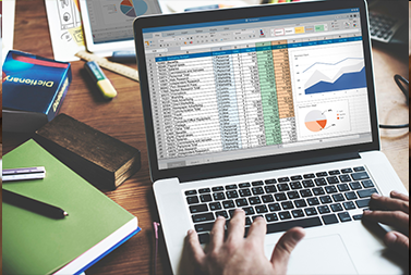Research data collection and statistical analysis support